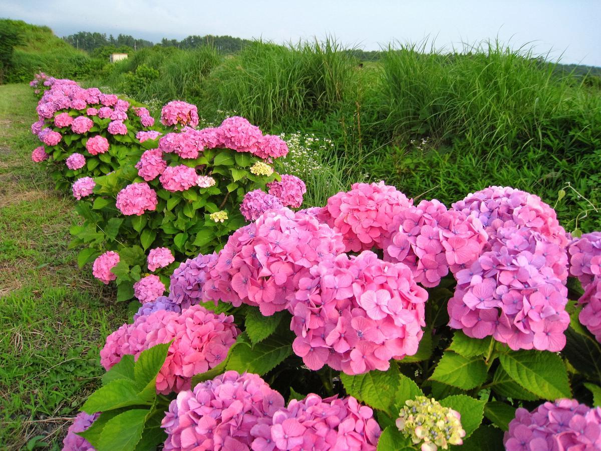 Daisen  Lodge Sano מראה חיצוני תמונה